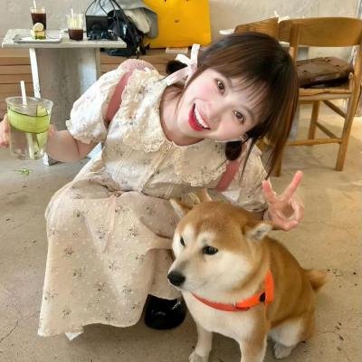人工进化